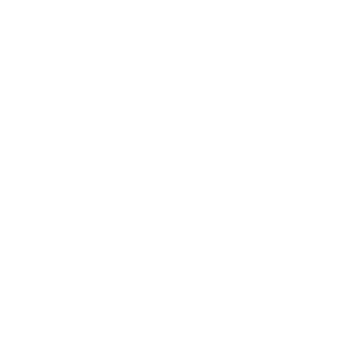 The Danish Academy of Music  : Filmproduktion