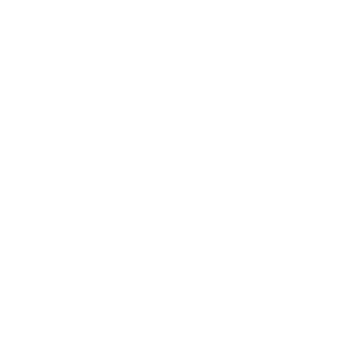 Edition Svitzer : Filmproduktion, Musikvideos