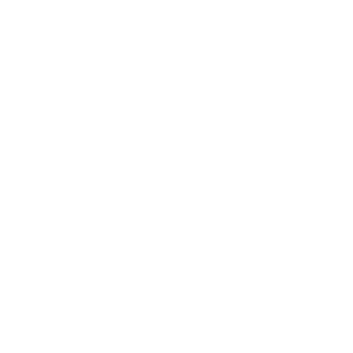 Globus : Videoproduktion