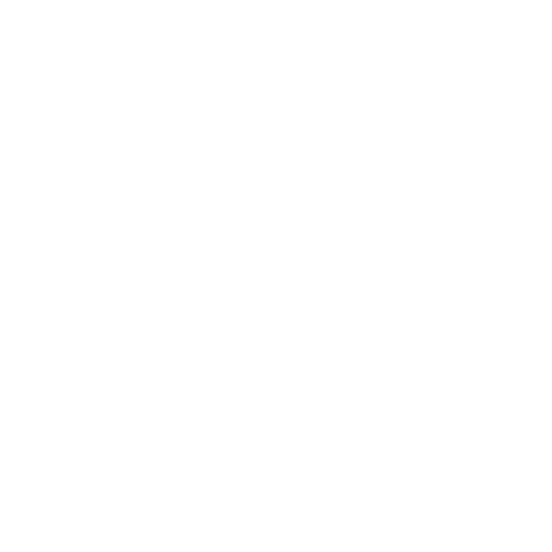 fdp_weiß - Roschkov Media